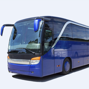 E-variant, Информация про автобусы от профессионала, Украина.