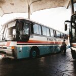 E-variant, Автобусы, аренда автобусов, транспорт в аренду, Украина