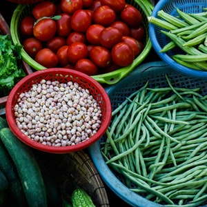 E-variant, Как выбрать поставщика продуктов? Украина