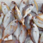 E-variant, Выбор полезных продуктов питания, Украина