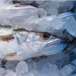 E-variant, Выбор полезных продуктов питания, Украина