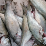 E-variant, Выбор полезных продуктов питания, Украина