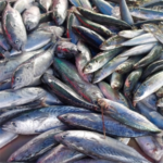 E-variant, Выбор полезных продуктов питания, Украина