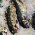 E-variant, Выбор полезных продуктов питания, Украина
