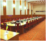 E-variant, Информация от специалистов, Украина