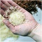 E-variant, Выбор полезных продуктов питания, Украина