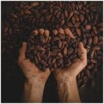 E-variant, Выбор полезных продуктов питания, Украина