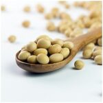 E-variant, Выбор полезных продуктов питания, Украина