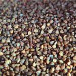 E-variant, Выбор полезных продуктов питания, Украина