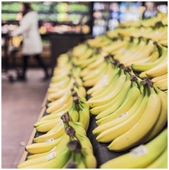 E-variant, Выбор полезных продуктов питания, Украина